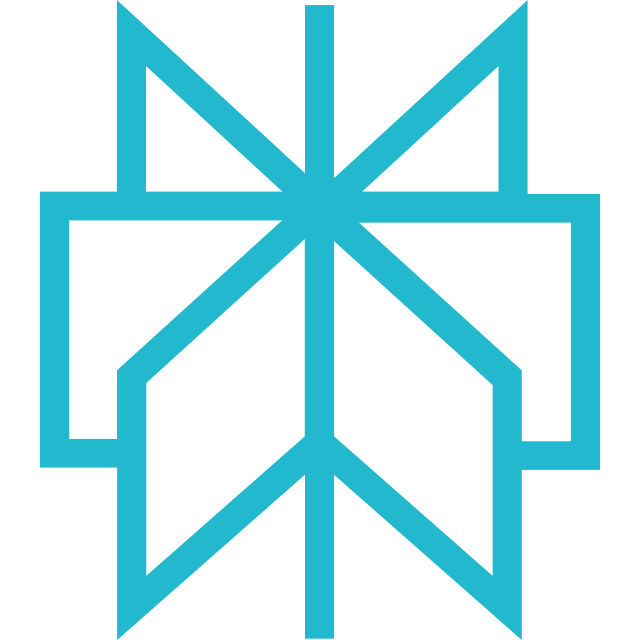 erplexity AI logo